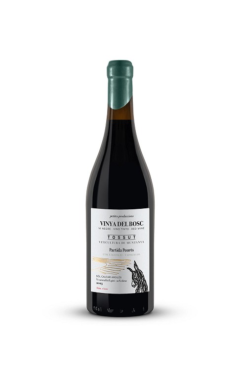 Forest vineyard - Mountain viticulture