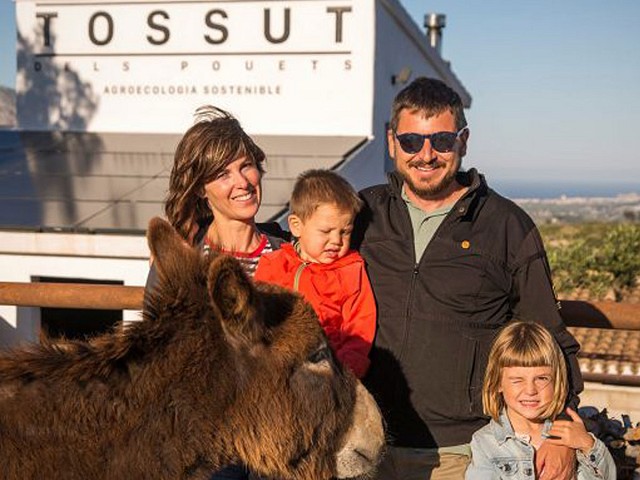 Foto El mejor aceite de oliva virgen extra ecológico de la Comunidad Valenciana es de la montaña de Alicante