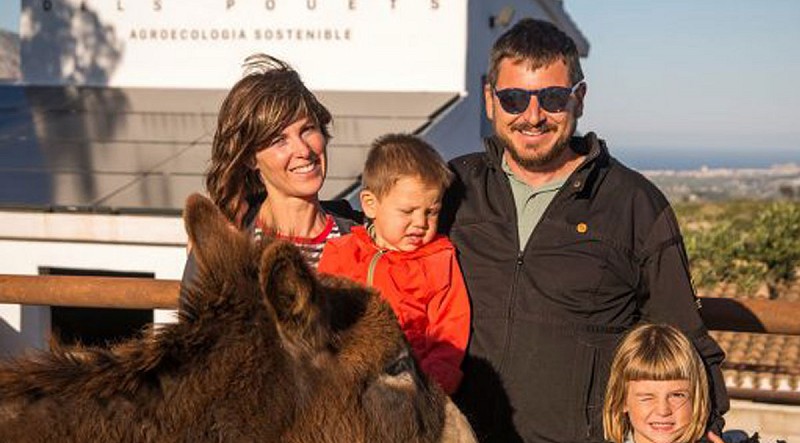 Foto El mejor aceite de oliva virgen extra ecológico de la Comunidad Valenciana es de la montaña de Alicante