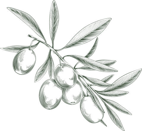 Oli d’Oliva Verge Extra