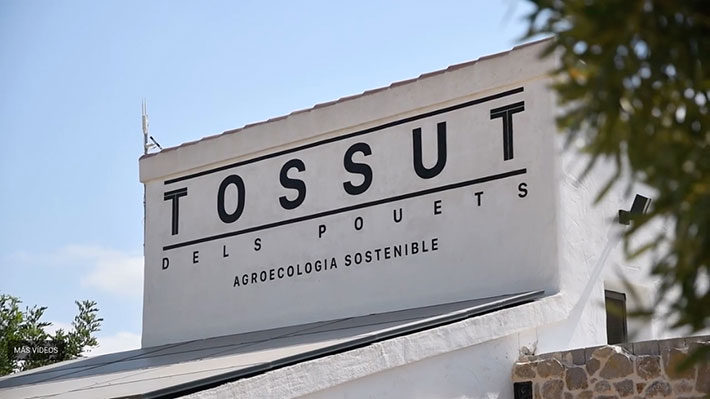 Video Premi empresa Pedreguer 2022