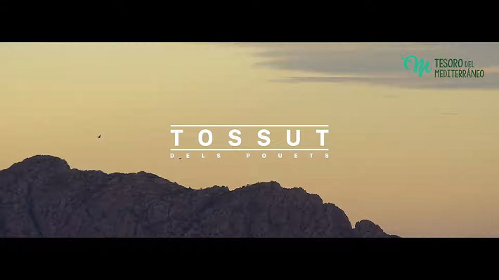 Video Tossut del Pouets
